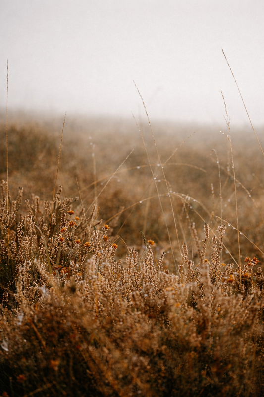 People Pleasing, Perfectionism, and Anxiety